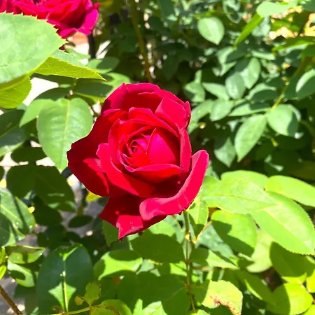 Apartament Acogedor Duplex De 3 *